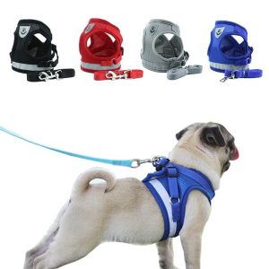 Adjustable dog harness vest and leash