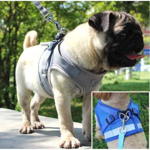 Adjustable dog harness vest and leash