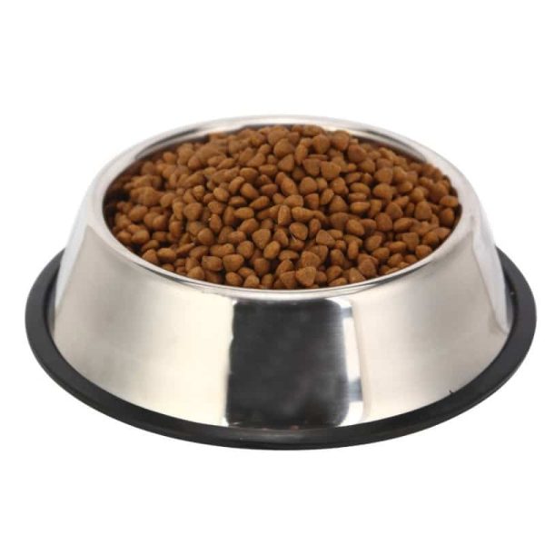Dog and cat stainless steel feeding bowl close view